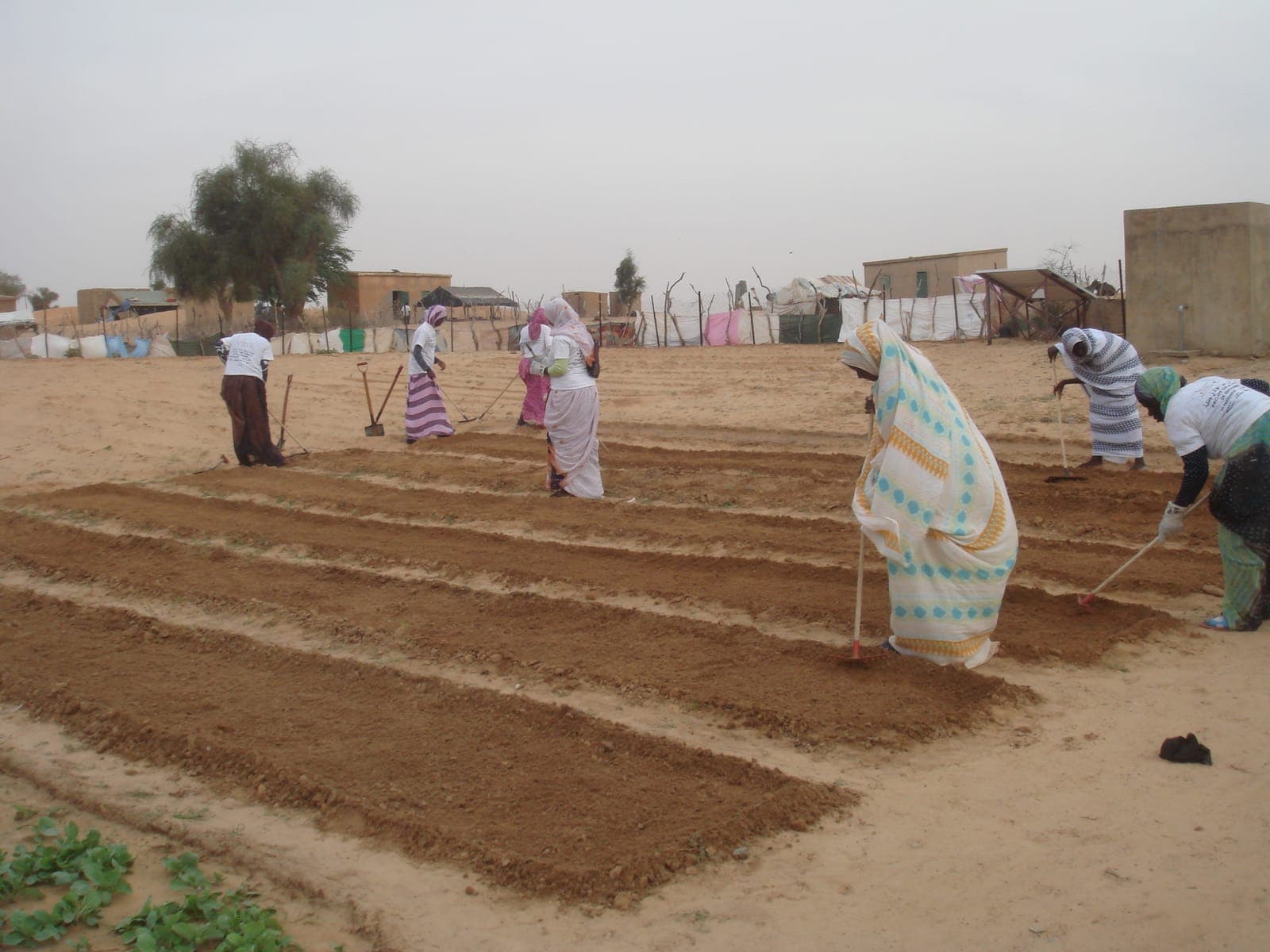 Formation à la mise en place de planches pour le déplacement de la pépinière